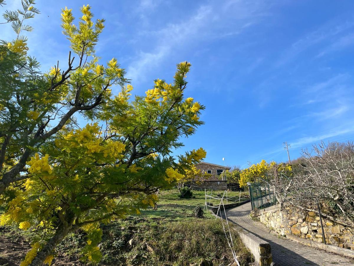 Agriturismo Le Mimose 因佩里亚 外观 照片