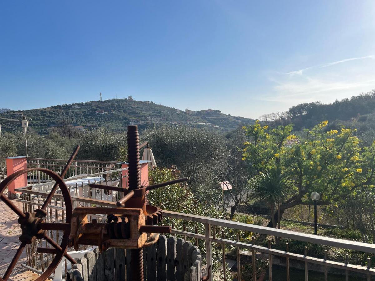 Agriturismo Le Mimose 因佩里亚 外观 照片