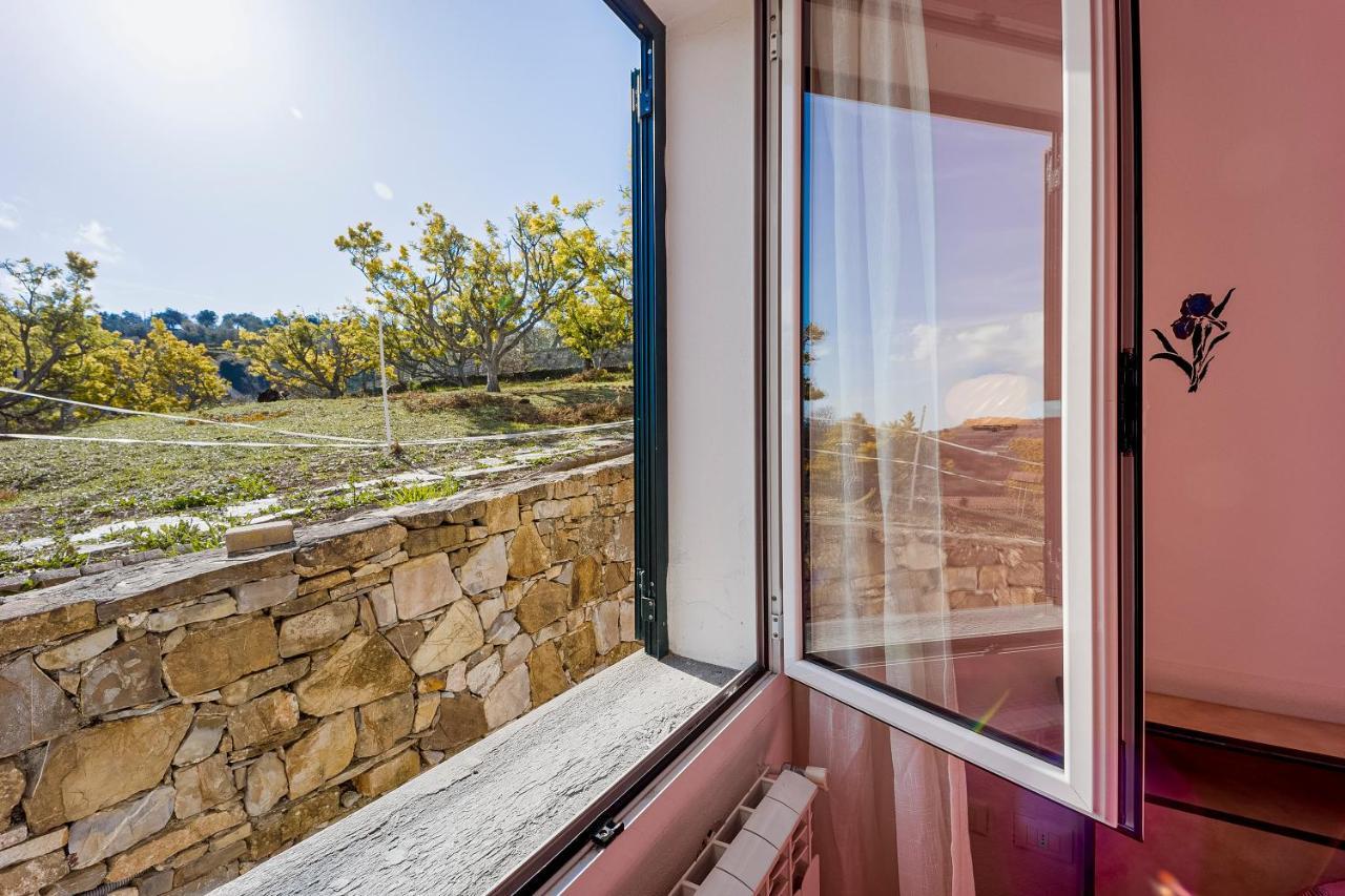 Agriturismo Le Mimose 因佩里亚 外观 照片