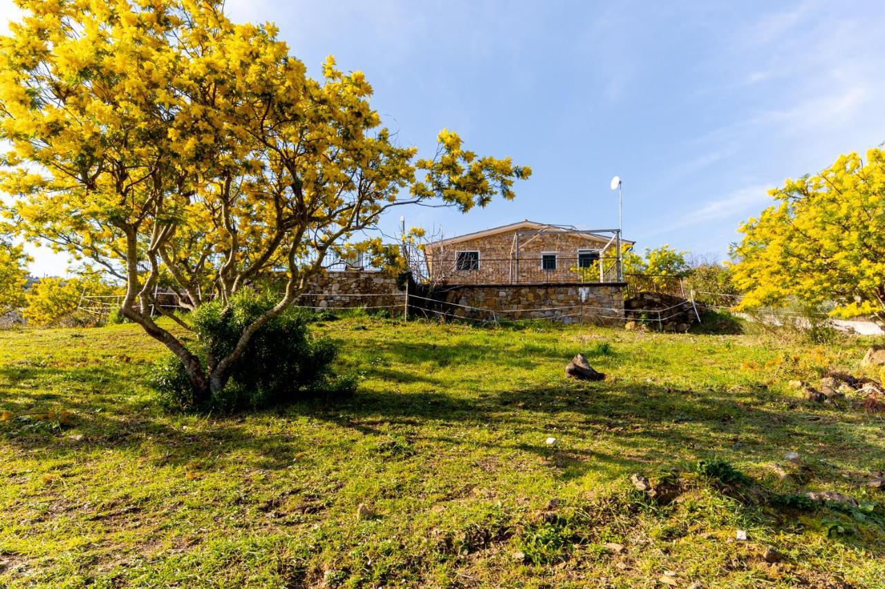Agriturismo Le Mimose 因佩里亚 外观 照片